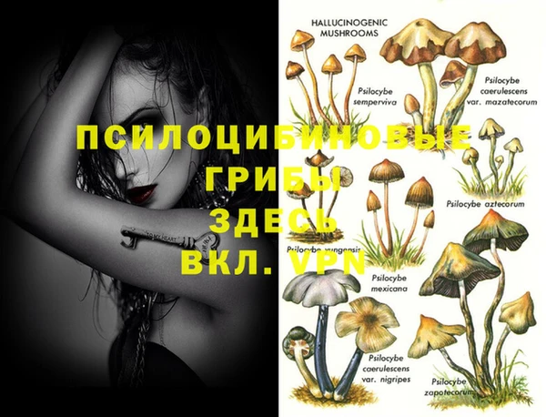 МДПВ Тихвин