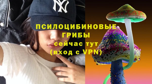 герыч Тайга
